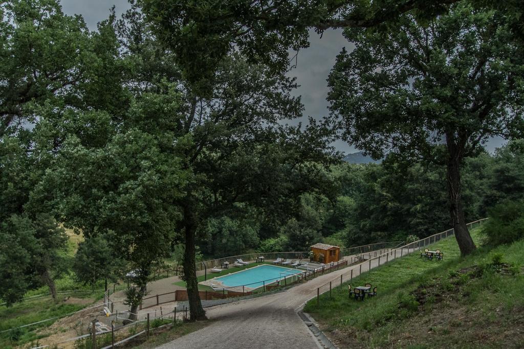 Agriturismo Specchio Del Lago Montefiascone Luaran gambar