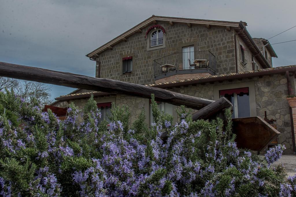 Agriturismo Specchio Del Lago Montefiascone Luaran gambar
