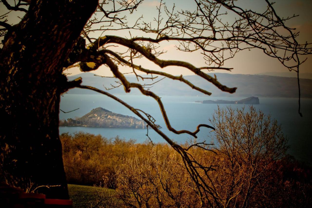 Agriturismo Specchio Del Lago Montefiascone Bilik gambar